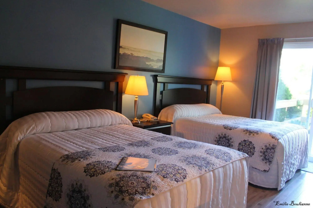 Hôtel Motel Le Beluga