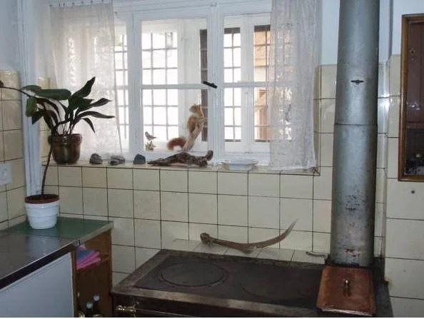 Hotel Trais Fluors