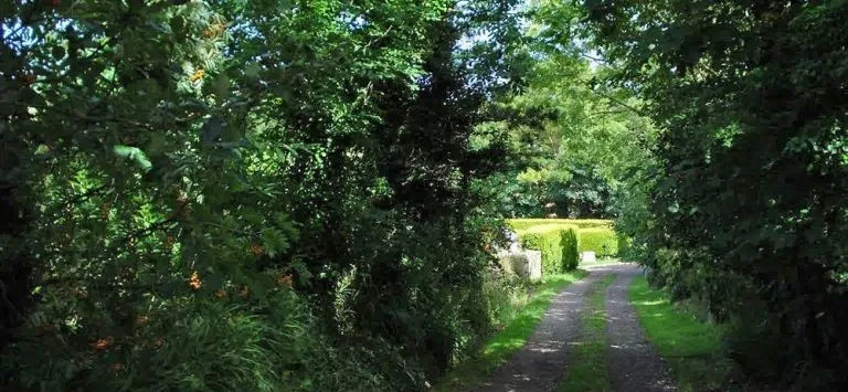 Bostrase B&B