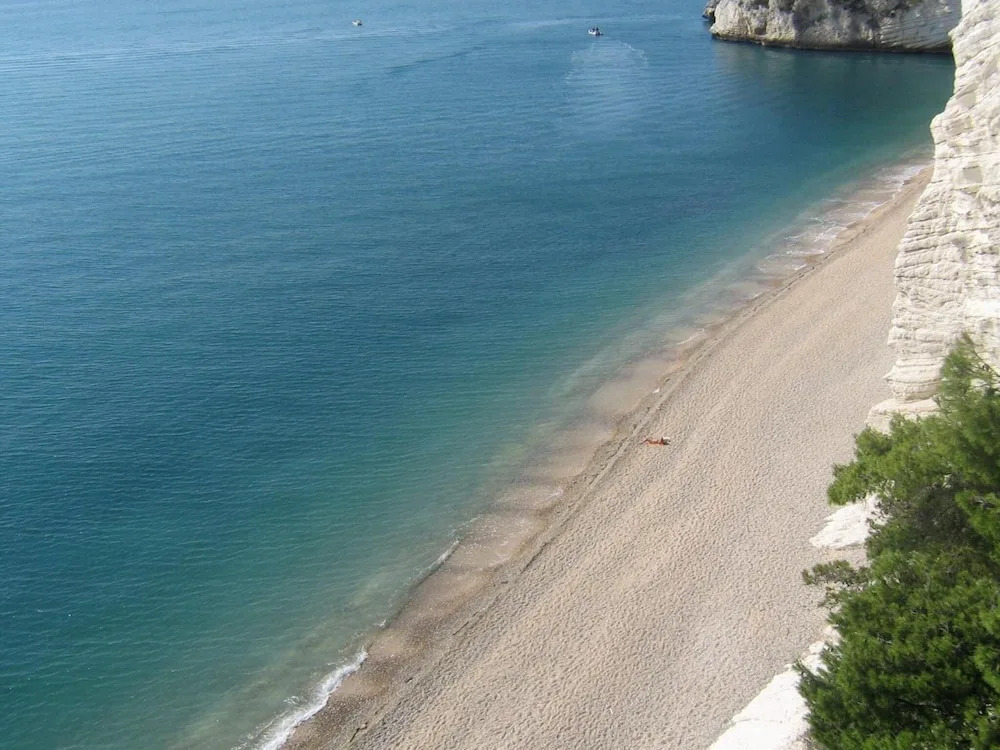 Apulia Bed&Breakfast