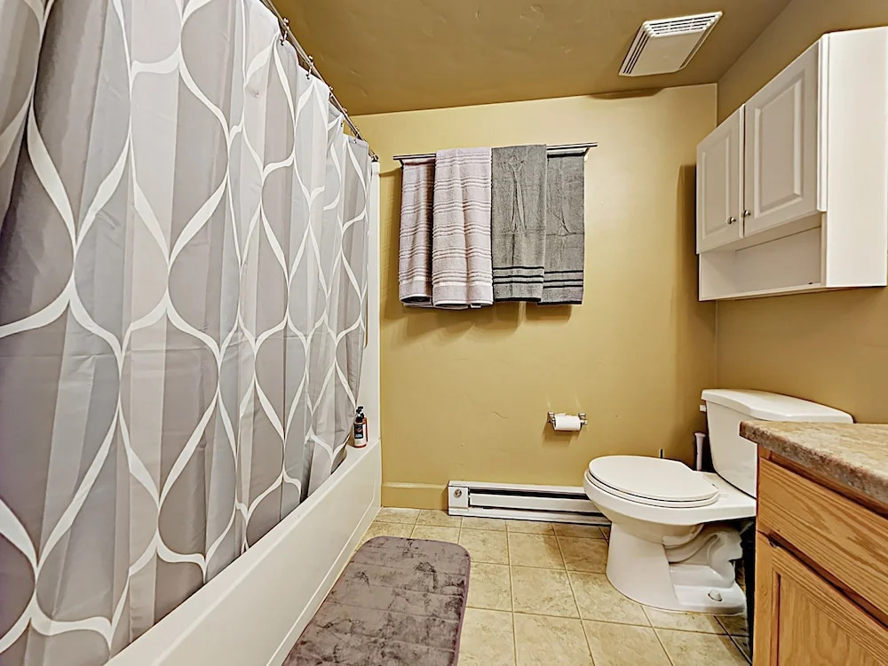 New Listing! Renovated Studio W/ On-site Gondola Studio Bedroom Condo