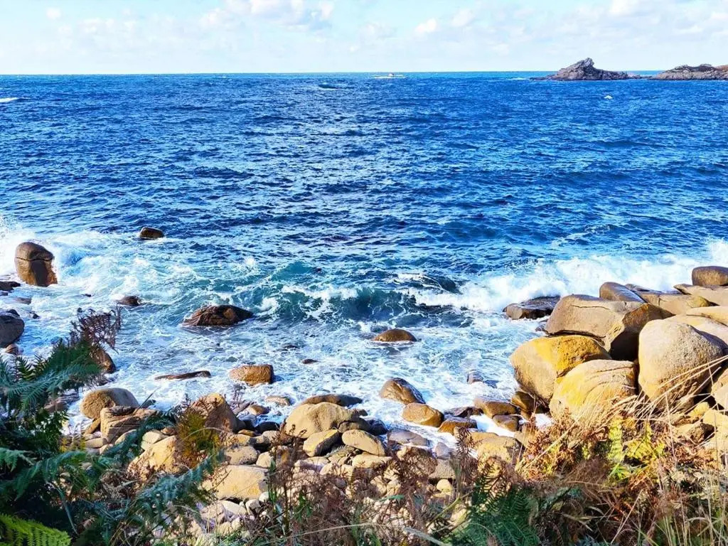 Maison familiale avec jardin près de la plage, animaux acceptés - FR-1-542-18