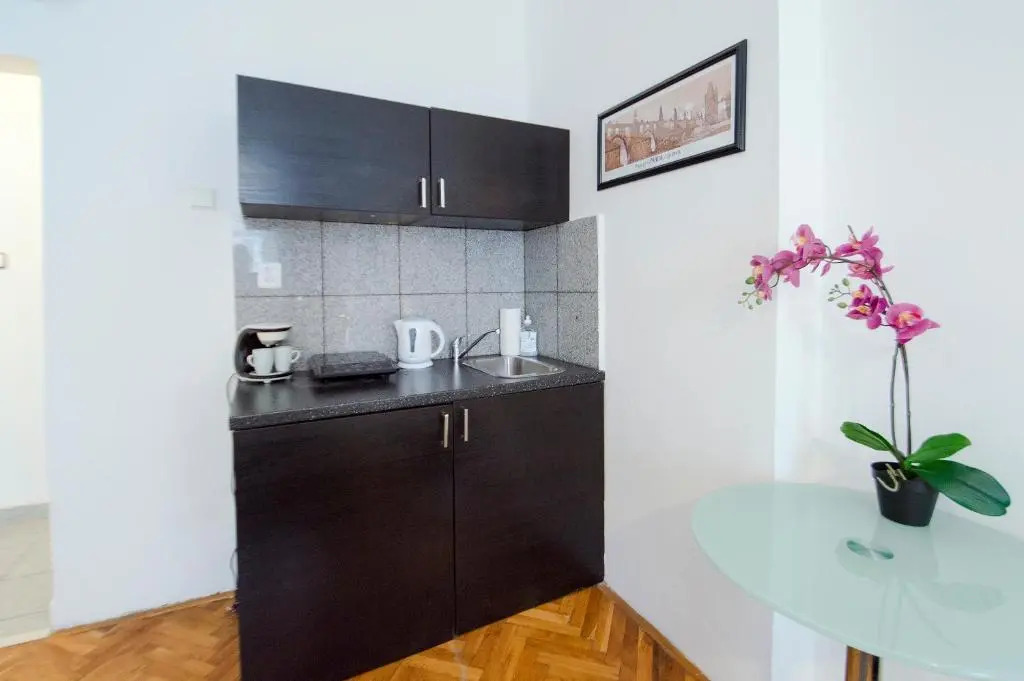 Modern Apartment Skolska 20