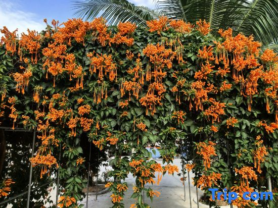 Haishu Yuntian · Seaside Pool Resort (Near Nanshan Temple & Guanyin of the South Sea)