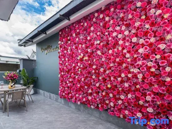 Dali Camellia Peninsula Homestay (Dali Ancient City)