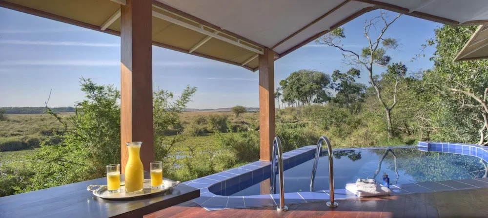 Ngerende in the Wild Lakeview