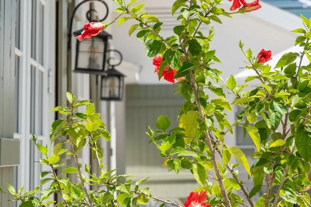 215 Spring Avenue 5 Bedroom Home by RedAwning
