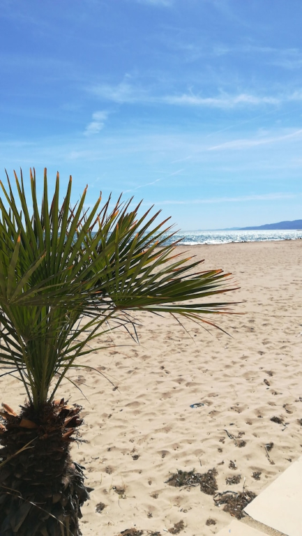 Apartamento Atlas IV 1 4 ref. 1102