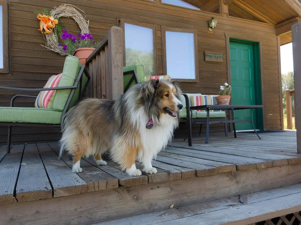 Hansen Guest Ranch and Venue