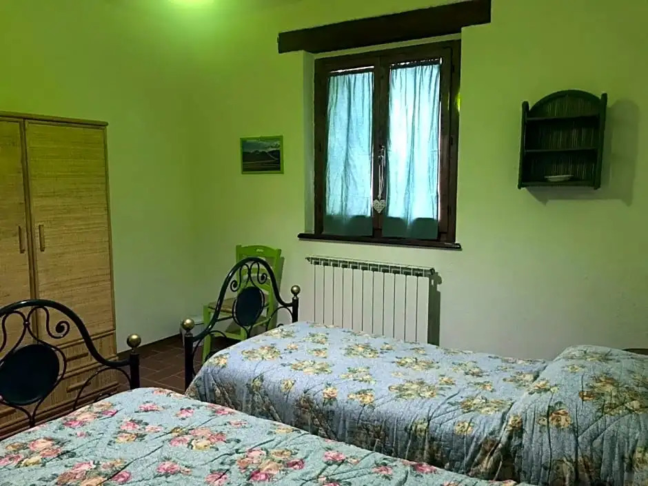 B&B Belvedere