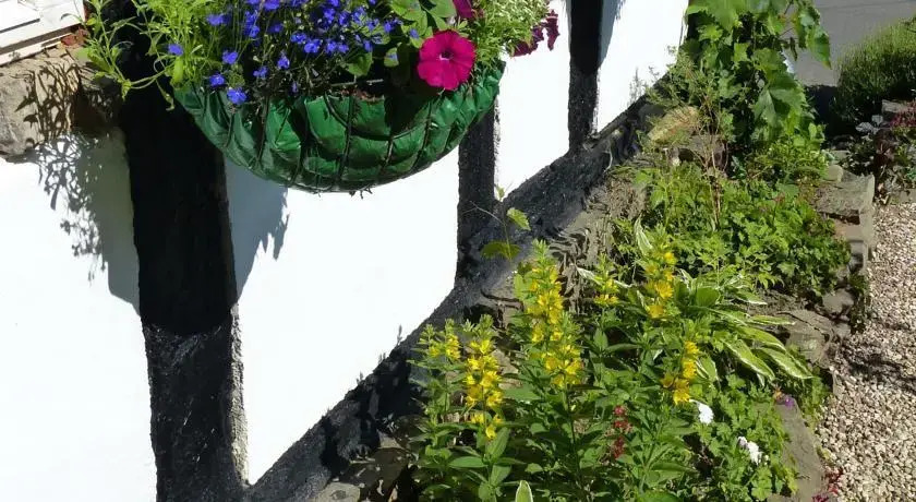Vine Cottage