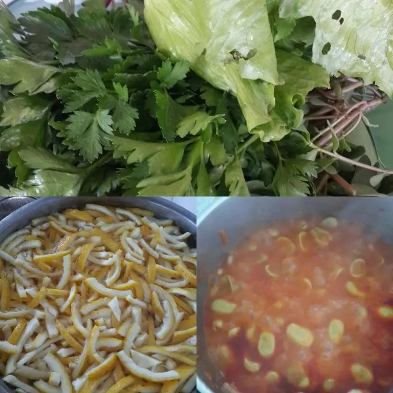 KUŞ YUVASI PANSiYON
