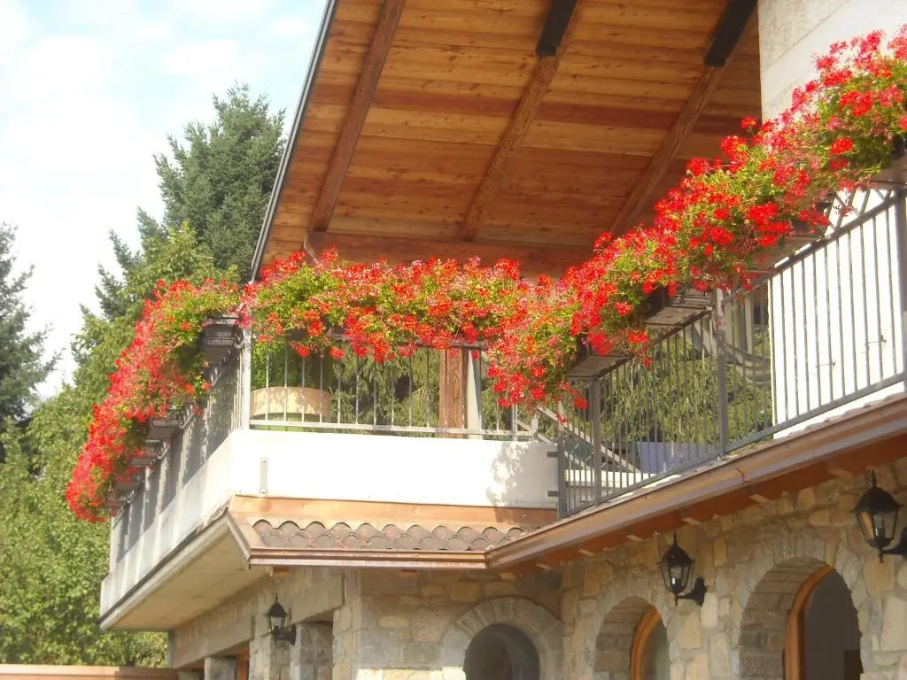 La Stella delle Alpi