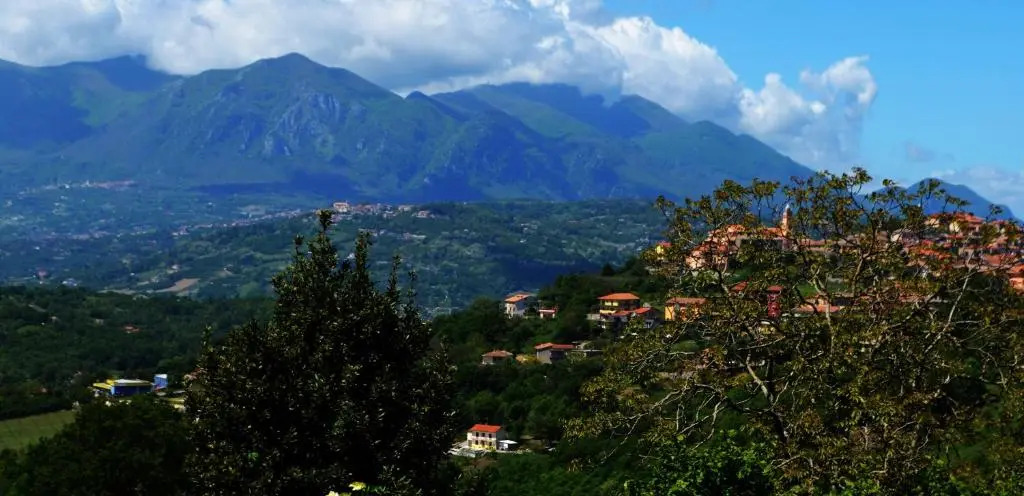 L'Agrifoglio