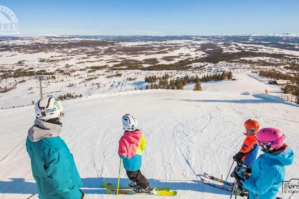 Golsfjellet - Bualie, milevis med sykkelveier, fiske og vannaktivitet, ski inn/ut til alpinanlegg og langrennsløyper.