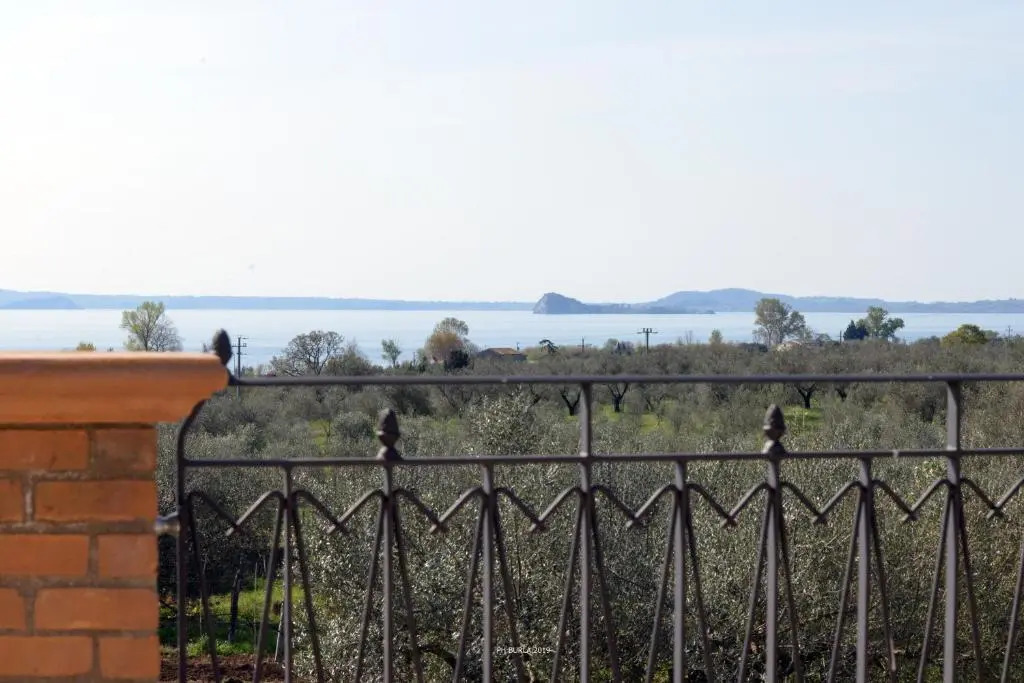 Il Casale degli Ulivi