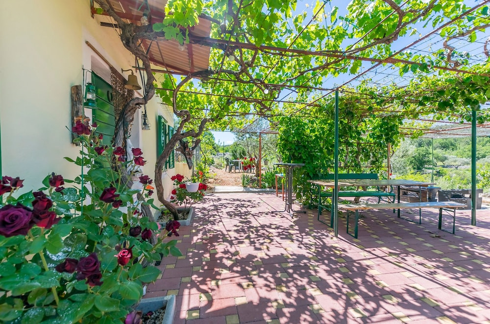 House Green Paradise
