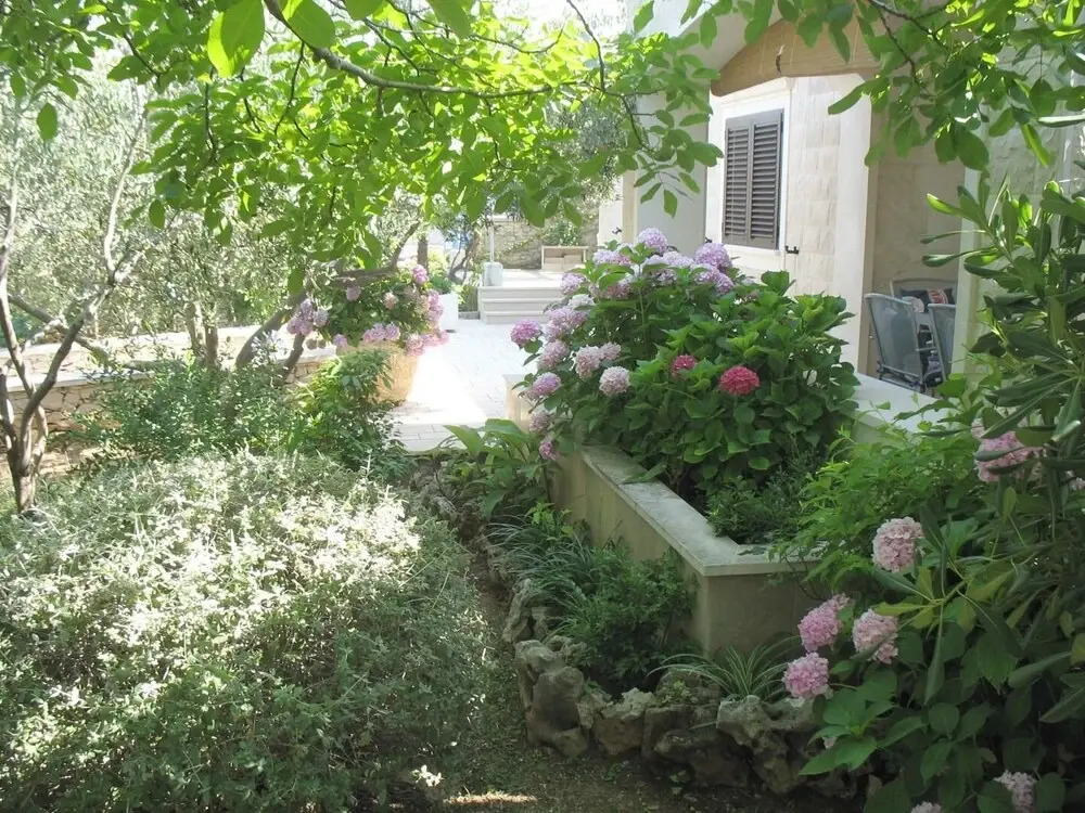 Zlatna - With Beautiful Garden - H