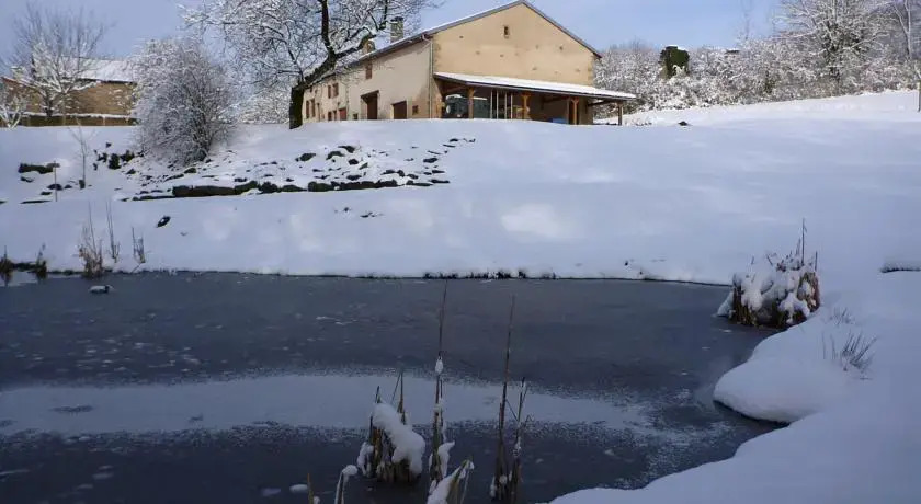 Le Fuligule Morillon