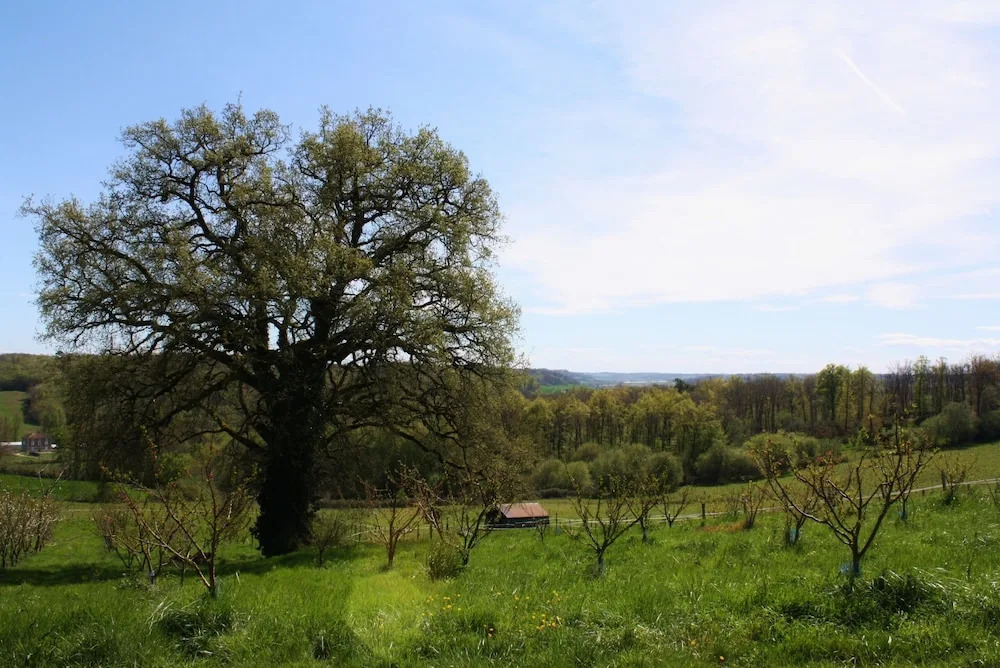 Ferme De Berteillé