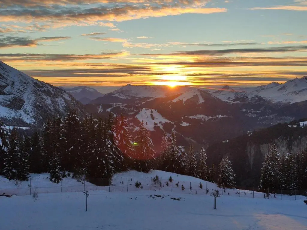 Appartement Avoriaz, 2 pièces, 4 personnes - FR-1-633-32
