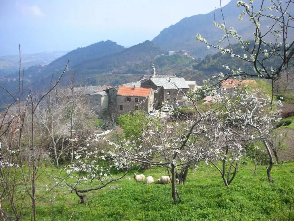 Sole e Ventu 90qm