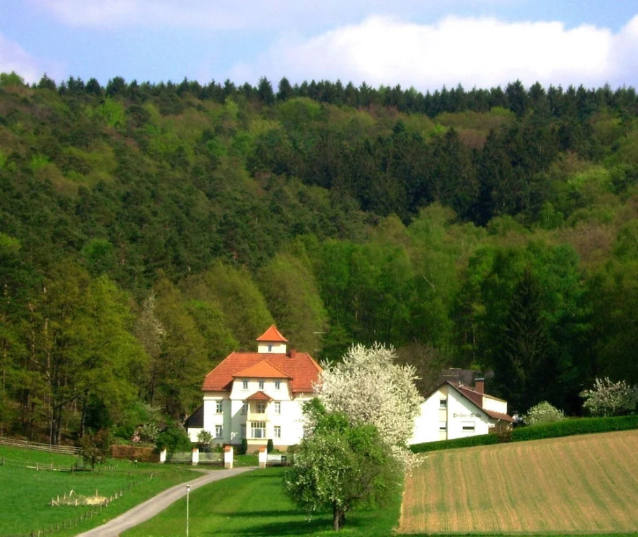 Pension am Walde