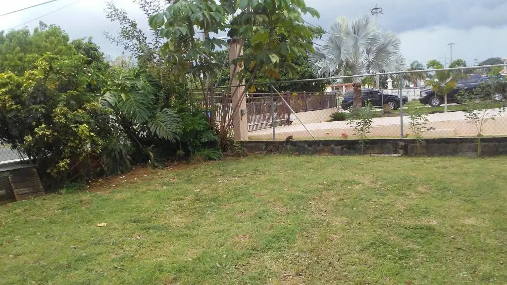 Brisas de Borinquen