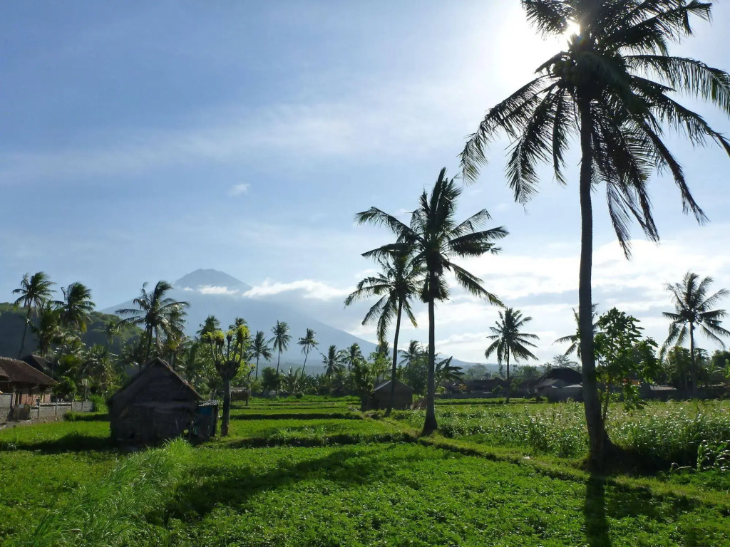 Bali Fab Dive Center