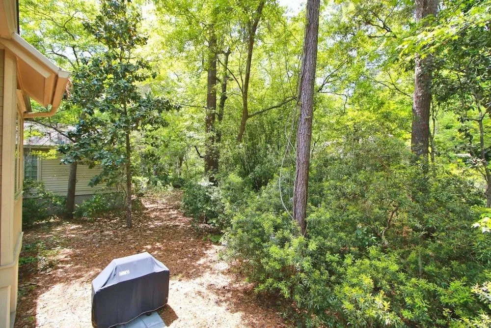 Forest Drive 13