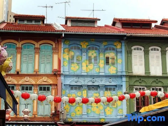 Heritage Collection on Pagoda - Mobile App Check-In