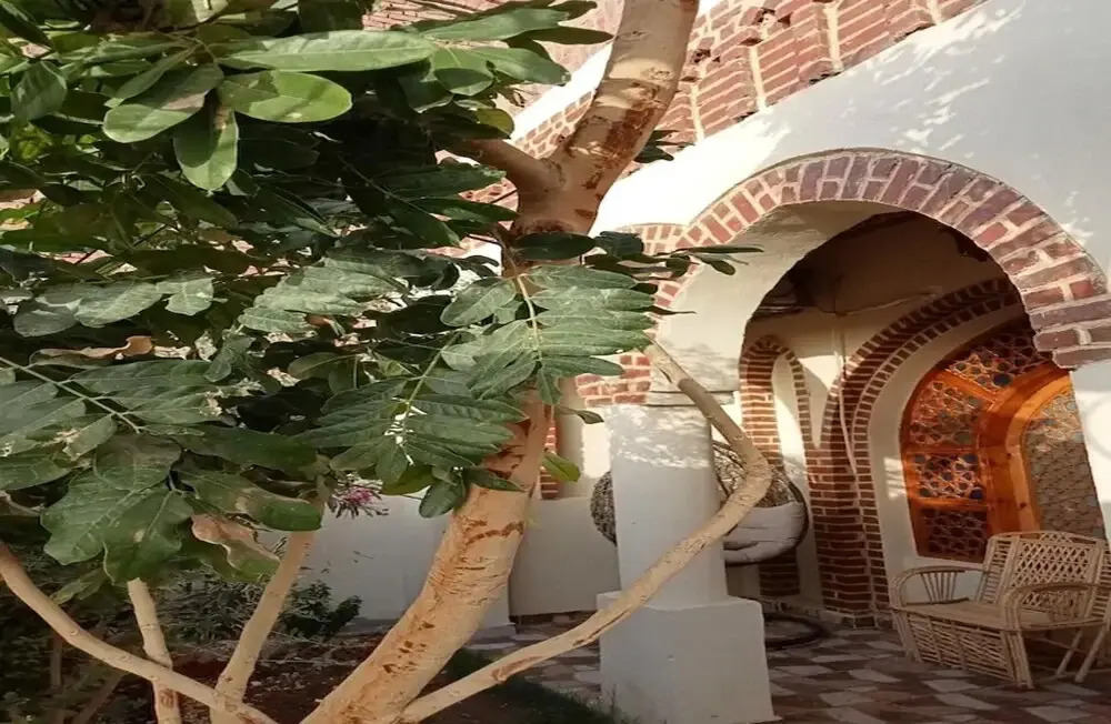 Luxor Delux 3-bed House in Luxor City
