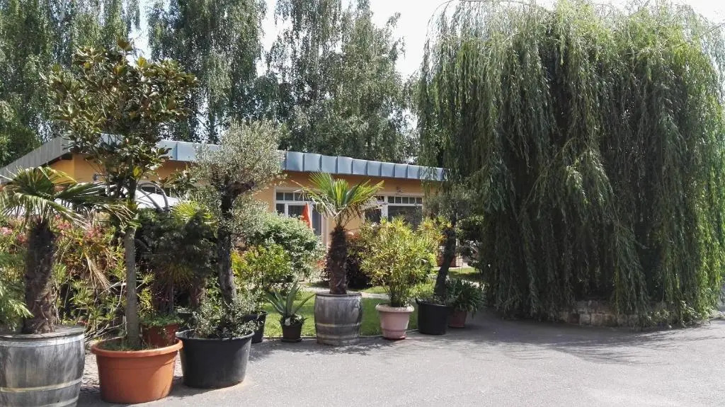 Ferienwohnung 3 - a63699