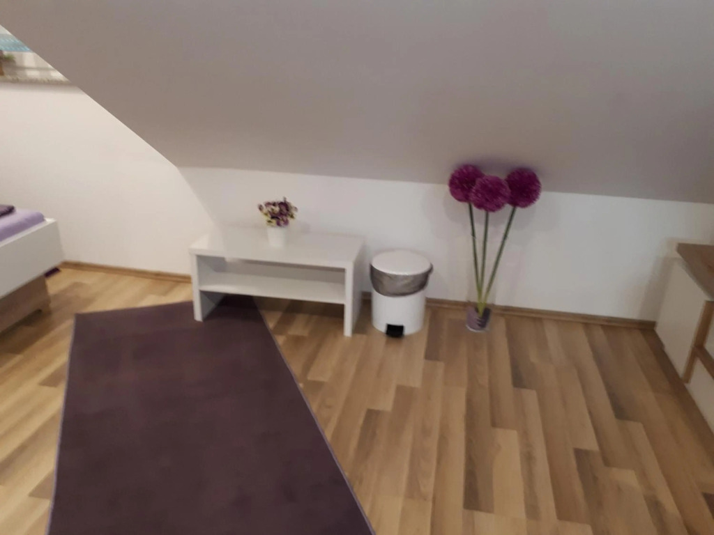 IRIS Room & Apartment