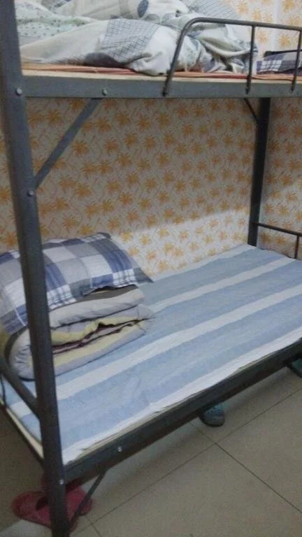 Shenzheng Shuxin Youth Hostel