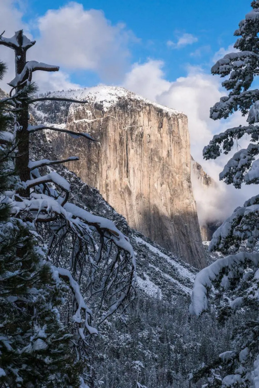 Hampton Inn Oakhurst-Yosemite