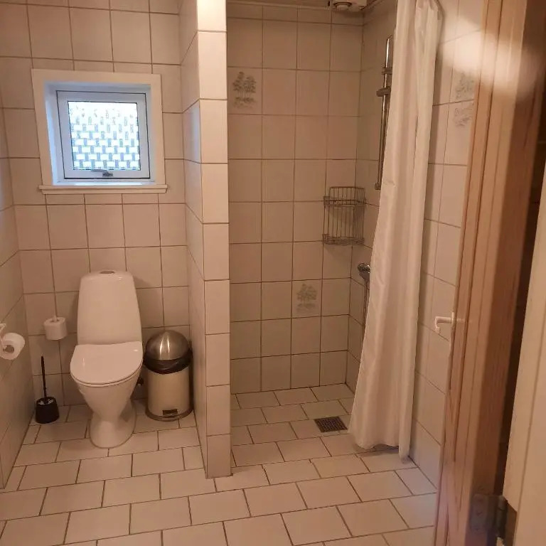 Agervej 45, Borris