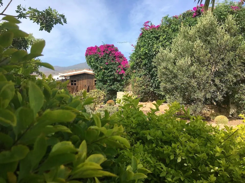 House with 2 Bedrooms in Santa Cruz de Tenerife, with Wonderful Sea View, Pool Access, Enclosed Garden - 8 Km From the Beach