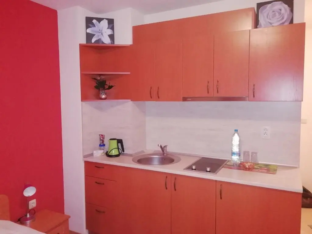 Apartament v Afrodita 1