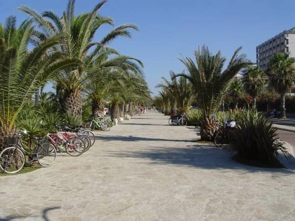 Hotel La Playa