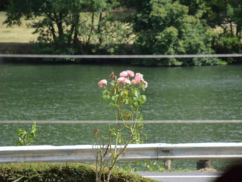 Villa Waulsort