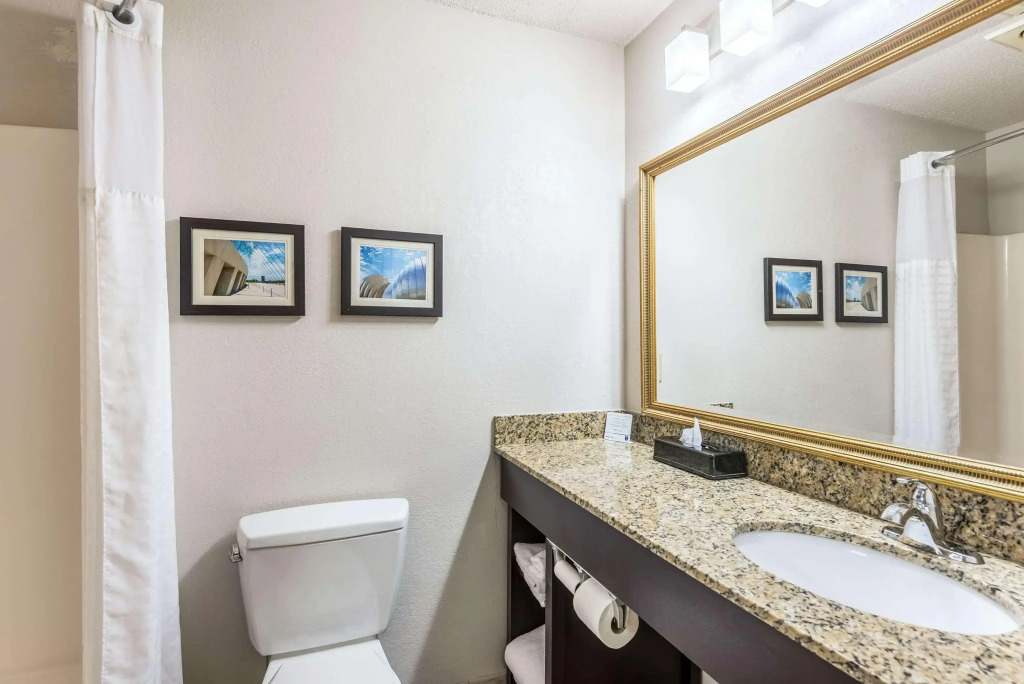 Comfort Inn & Suites Lees Summit - Kansas City