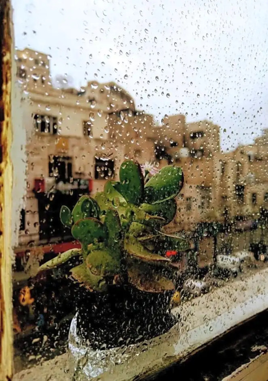 The Boutique Hotel Amman