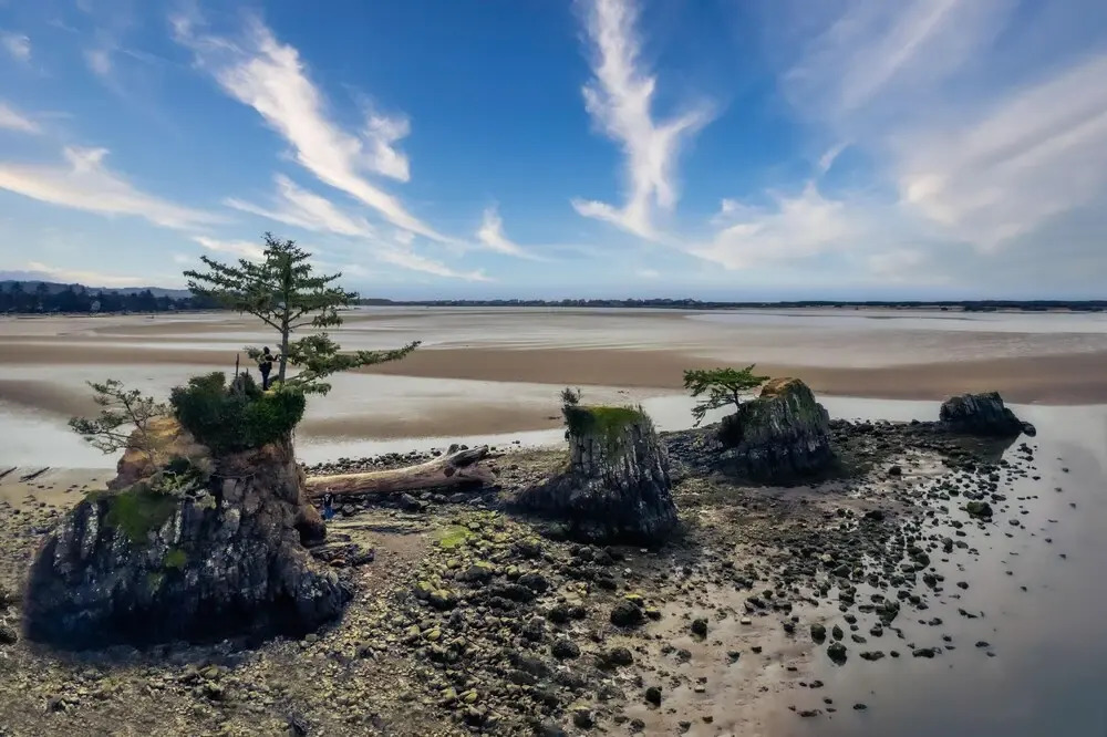 Waters Edge 207
