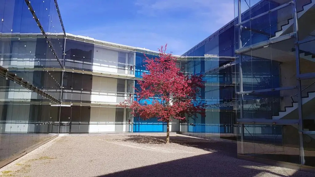 Seedri Residence