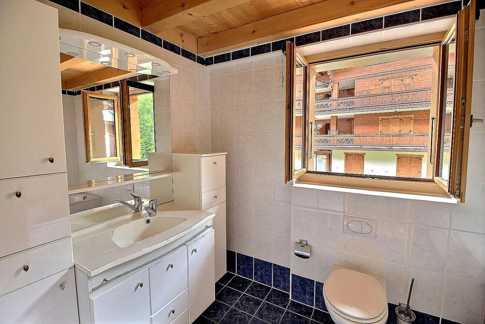 Very Nice 3.5 Rooms at 500m From the Cableway