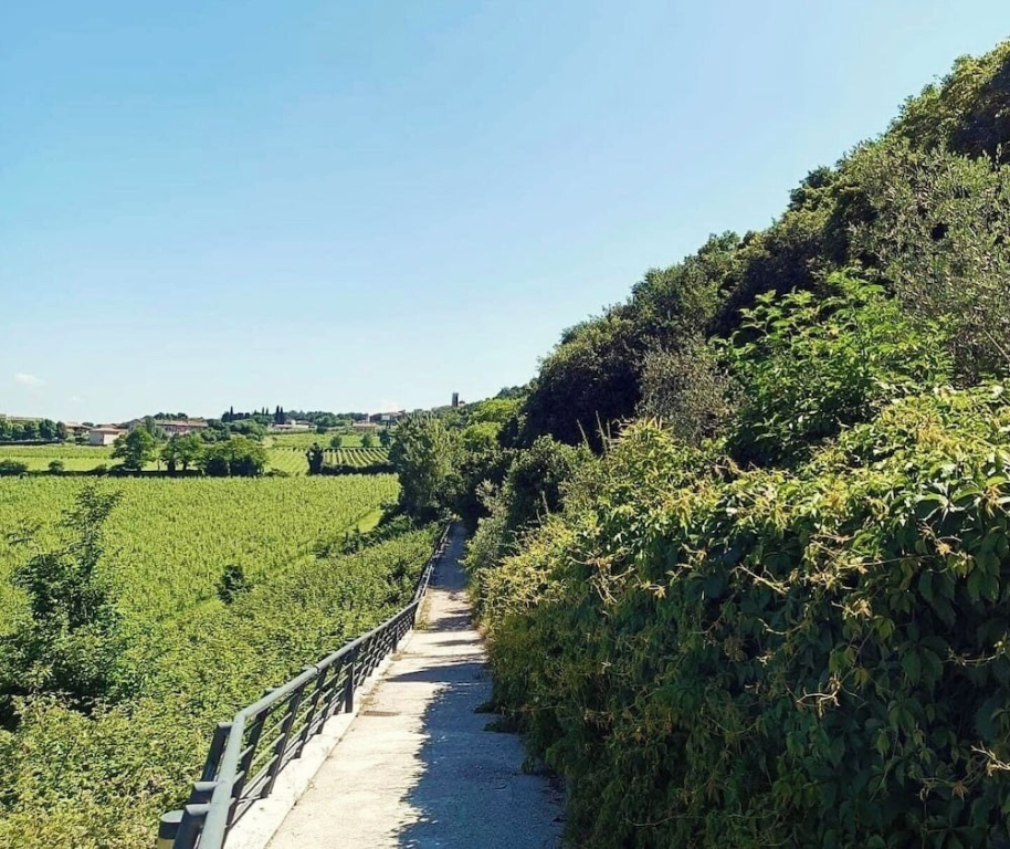 Villetta Moscal- Bella Vista