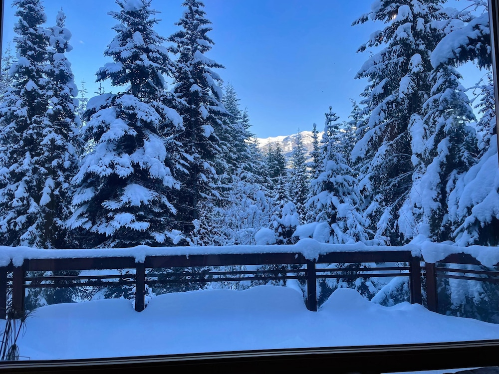 Luxury 5 Bedroom Blueberry Chalet