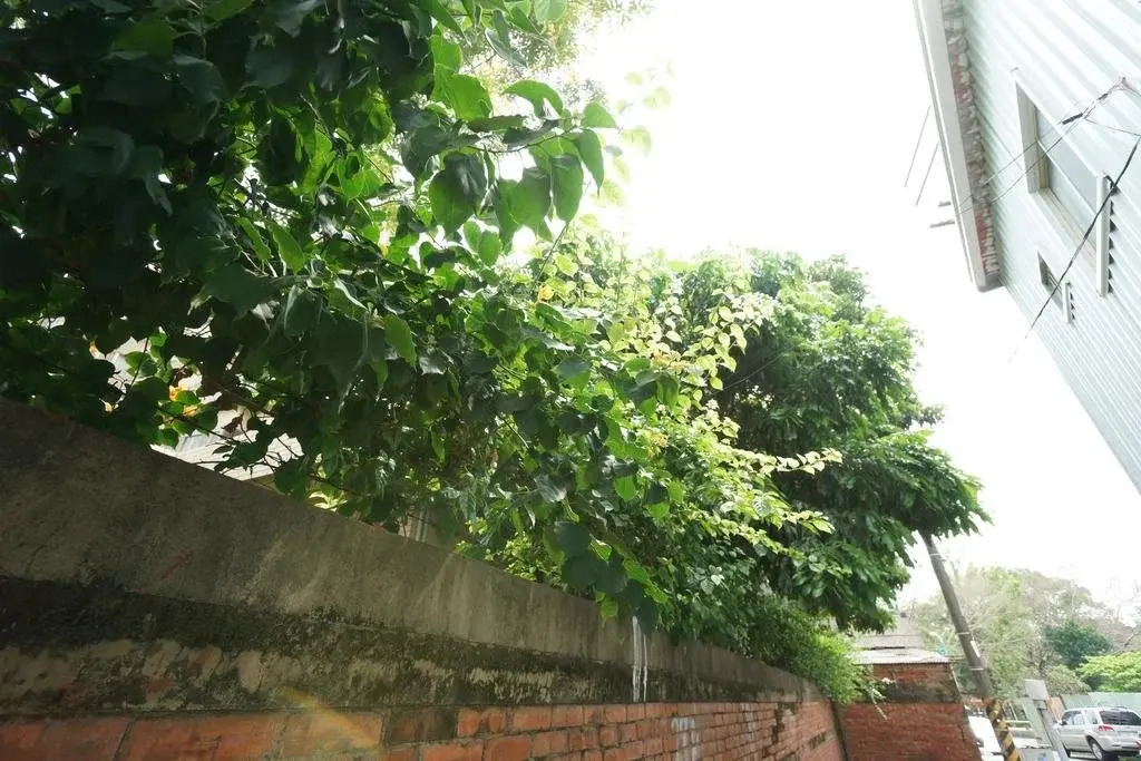 慢步南國 台南故事民宿 Slow Tainan Homestay