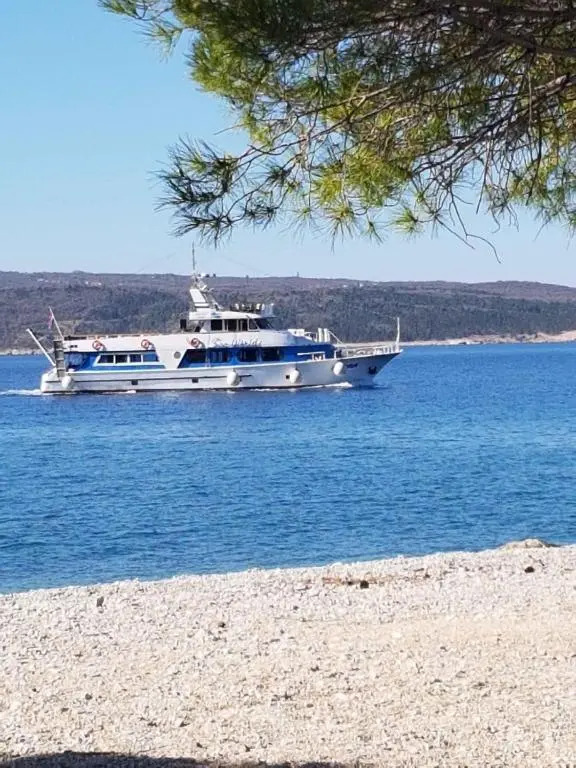 Apartments in Crikvenica 42633